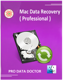 Mac Data Recovery - Professional